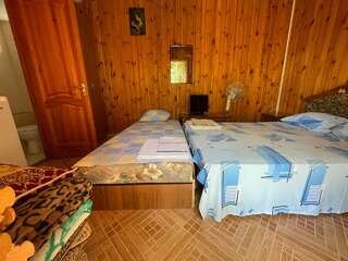 Гостиница Blooming Garden Алушта Бюджетный двухместный номер с 1 кроватью-12